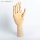 УЦЕНКА Модель деревянная художественная Манекен «Рука мужская правая» 31 см - Фото 2