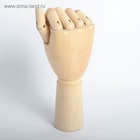 УЦЕНКА Модель деревянная художественная Манекен «Рука мужская правая» 31 см - Фото 4