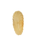 Лакомство для собак «Вкусные ботинки», 13.5 см (уп.1 шт.), серия DENTAL - Фото 2