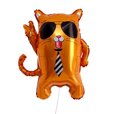 Воздушный шар фольгированный 24" «Кот в очках»