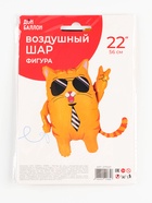 Воздушный шар фольгированный 24" «Кот в очках», фигура 10887497 - фото 319838583
