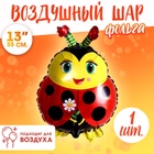 Воздушные шары фольгированные 18" «Божья коровка с цветком», 5 штук 10887515 - фото 14626981
