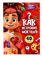 Книга - раскладушка детская «Как устроено моё тело», 40 окошек - Фото 1