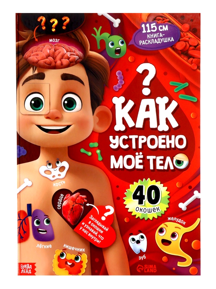 Книга - раскладушка детская «Как устроено моё тело», 40 окошек - Фото 1