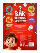 Книга - раскладушка детская «Как устроено моё тело», 40 окошек 10808009 - фото 14627132