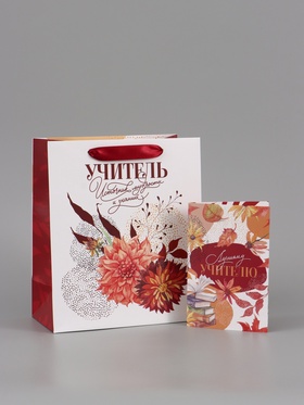 Подарочный набор «Учитель», пакет и открытка, ML 27 × 23 × 11,5 см