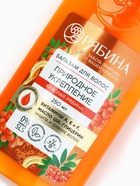 Бальзам для волос с натуральным экстрактом рябины, природное укрепление, 250 мл - Фото 9