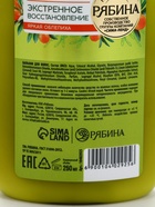 Бальзам для волос с натуральным экстрактом облепихи, экстренное восстановление, 250 мл - Фото 13