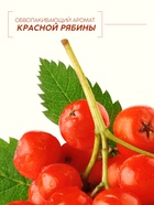 Бальзам для волос с натуральным экстрактом рябины, природное укрепление, 400 мл - Фото 3
