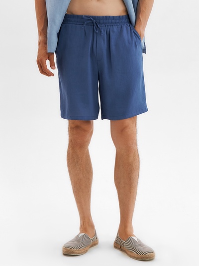 Шорты мужские MIST, размер 48, синие