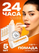 НАБОР губная помада гигиеническая EVO Пантенол, 5 штук по 2.8 г - Фото 1