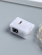 Нить светодиодная для сувениров, 20 диодов, дл. 2 м, от батареек 3×CR1130, набор 10 шт. - Фото 3