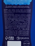 Детский подарочный набор «Чемпион»: гель-пена 250 мл, мочалка, Чистое счастье - фото 809664665