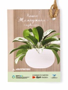 Кашпо для цветов «Жемчужина», 7 л, d=36 см, h=22 см, пластик, со вставкой, подвесное, цвет графитовый - Фото 14