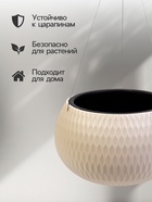 Кашпо для цветов «Жемчужина», 4 л, d=29 см, h=19.5 см, пластик, со вставкой, подвесное, бежевое - Фото 2