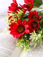 Букет «Альстромерия с зеленью», h=27 см, МИКС 10697939