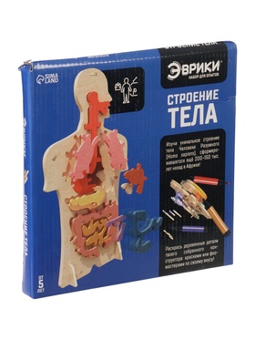 {{photo.Alt || photo.Description || 'Уценка Набор для опытов «Строение тела», 24 элемента'}}