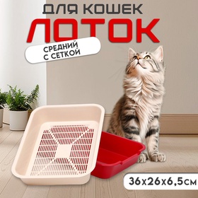 {{photo.Alt || photo.Description || 'УЦЕНКА Туалет средний с сеткой 36 х 26 х 6,5 см, бежевый/красный'}}