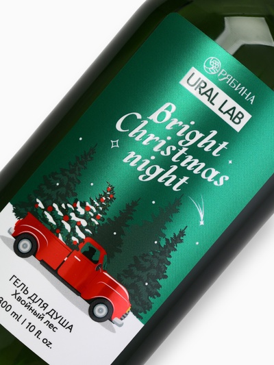 Новогодний подарочный набор косметики Bright Christmas night: гель для душа, 300 мл и бомбочки для ванны, 4×40 г, URAL LAB
