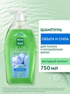 Шампунь для волос Чистая линия «объем и сила» экстракт льна и пшеницы, 750 мл 10894663 - фото 14662176
