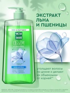 Шампунь для волос Чистая линия «объем и сила» экстракт льна и пшеницы, 1000 мл - Фото 1