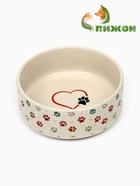 Миска керамическая "Яркие Лапки" 200 мл, 10,5 х 4 см - фото 44190709