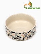 Миска керамическая "Собачья радость", 200 мл, 10,5 х 4 см - фото 44190716