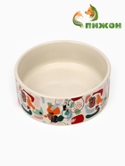 Миска керамическая "Цветные пятнышки" 250 мл, 11,5 х 4,5 см, фон белый - фото 44190733