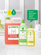 Гель для мытья посуды Synergetic «Зеленый чай», 500 мл 10893694 - фото 842532