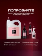 Жидкое парфюмированное мыло Synergetic «Вишня», 5 л 10893736 - фото 319917156