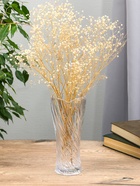 Ваза «Николь», 23.5×10.5 см, стекло, прозрачная 10872847