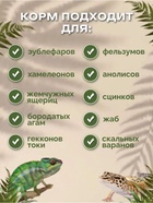 Корм для эублефаров, других насекомоядных рептилий и амфибий (желируемый) 50 г - Фото 2