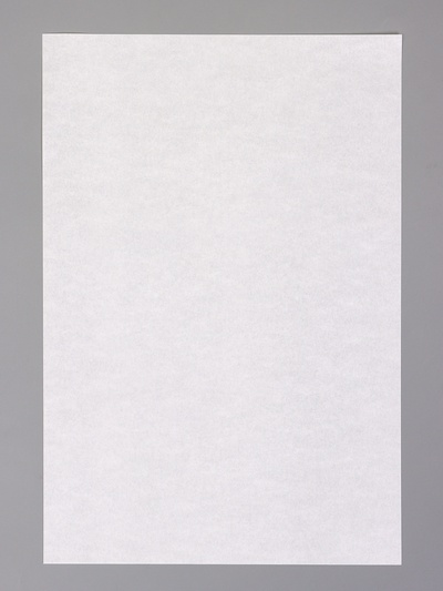 Бумага для выпечки пергаментная UPAK LAND, в листах, 20×30 см, белая