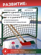УЦЕНКА Набор для игры в хоккей (клюшка 2 шт., ворота 2 шт., шайба, мяч), цвет МИКС - Фото 4