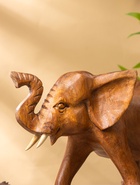 Сувенир «Слон», 33×16×22 см, дерево суар, коричневый - фото 63119181