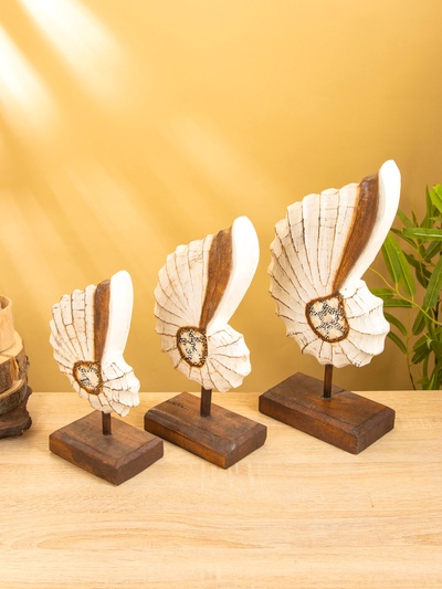 Набор сувенирный «Раковины», h=35 см, h=30 см, h=25 см, дерево, бежевый