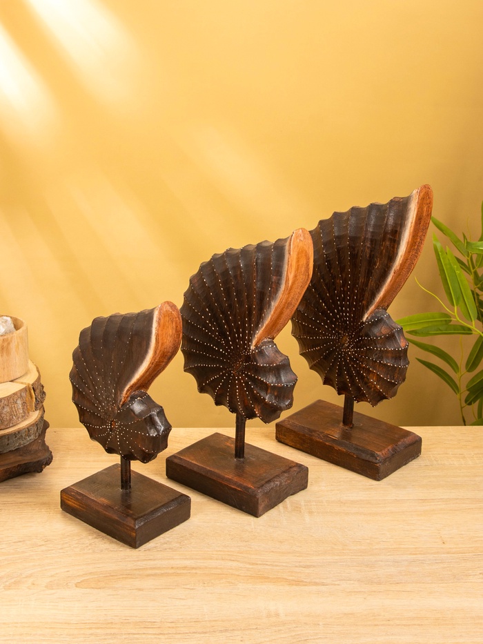 Набор сувенирный «Раковины», h=35 см, h=30 см, h=25 см, дерево, коричневый - Фото 1