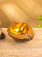 Чаша из кокоса, 15.5×21×7 см, коричнево-золотая - Фото 1
