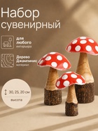 Набор сувенирный «Мухоморы», h=30, h=25, h=20 см, дерево Джампинис - Фото 1