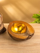 Чаша из кокоса, 22х24,5х9 см, коричнево-золотой 10896529 - фото 8123323