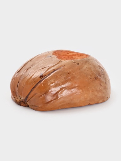 Чаша из кокоса, 22×24.5×9 см, коричнево-золотая