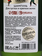 Подарочный набор Bright Christmas night, гель для душа и шампунь для волос 2×300 мл, URAL LAB 10872558 - фото 16573374