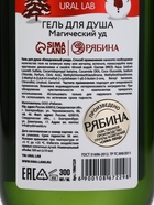 Подарочный набор Magical warm winter, гель для душа и шампунь для волос 2×300 мл, URAL LAB 10872559 - фото 16573387