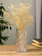 Ваза «Бриджит», 24.5×11 см, стекло, прозрачная - фото 809000695 Ваза «Бриджит», 24.5×11 см, стекло, прозрачная - фото 809000695