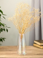 Ваза «Кэнди», 22×9×6.5 см, стекло, прозрачная - фото 45636659