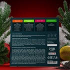 Подарочный набор «Санта Клаус», 24 пирамидки - Фото 2