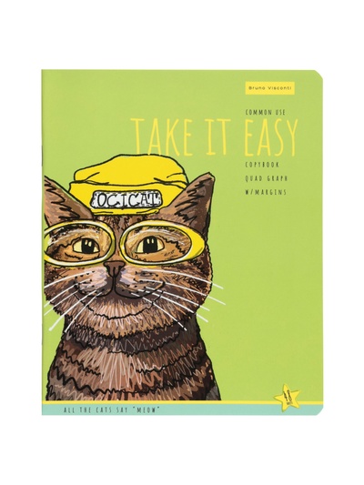 Тетрадь Альт «EASY LIFE.КОТЫ», 48 листов, в клетку, МИКС