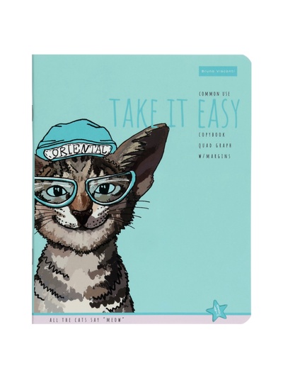 Тетрадь Альт «EASY LIFE.КОТЫ», 48 листов, в клетку, МИКС