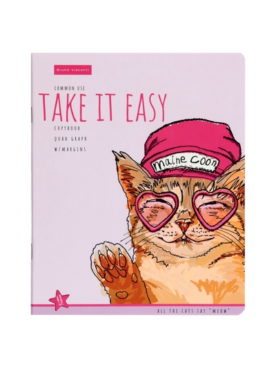 Тетрадь Альт «EASY LIFE.КОТЫ», 48 листов, в клетку, МИКС