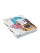 ТЕТРАДЬ 48Л. "ПСЫ НА СТИЛЕ" 5 ВИДОВ - фото 119357454